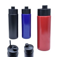 730 ml Sızdırmaz Pipetli Spor ve Günlük Kullanım Çelik Termos Mug